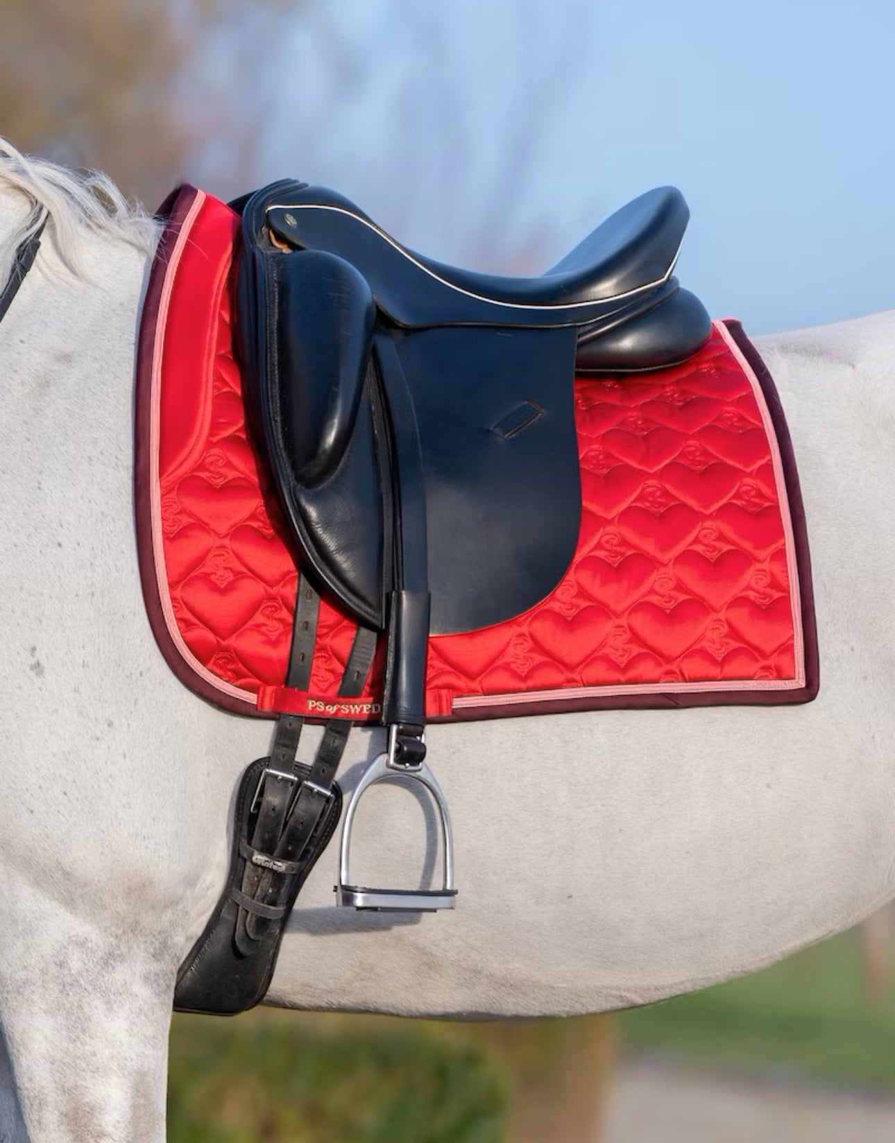 Heart Dressage KS valtrap