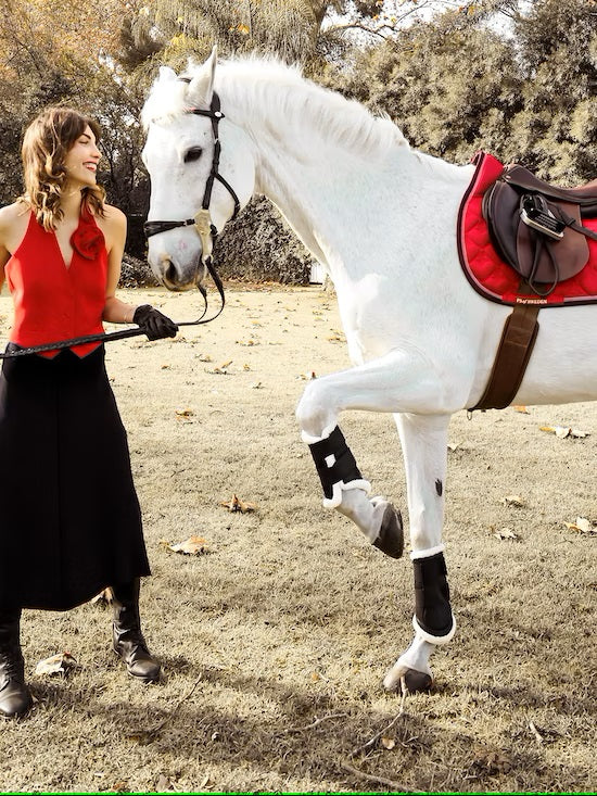 PS of Sweden Heart Jump