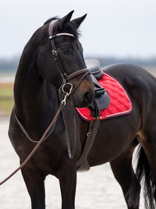 PS of Sweden Heart Jump