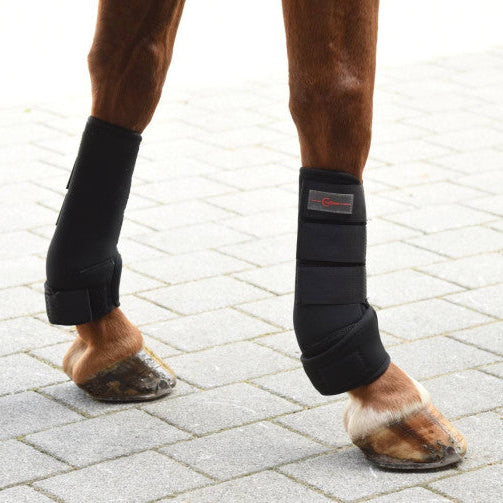 Covalliero Fetlock kaitsmete komplekt