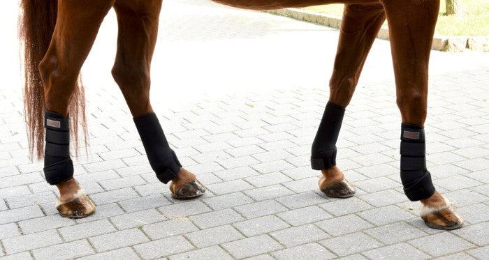 Covalliero Fetlock kaitsmete komplekt