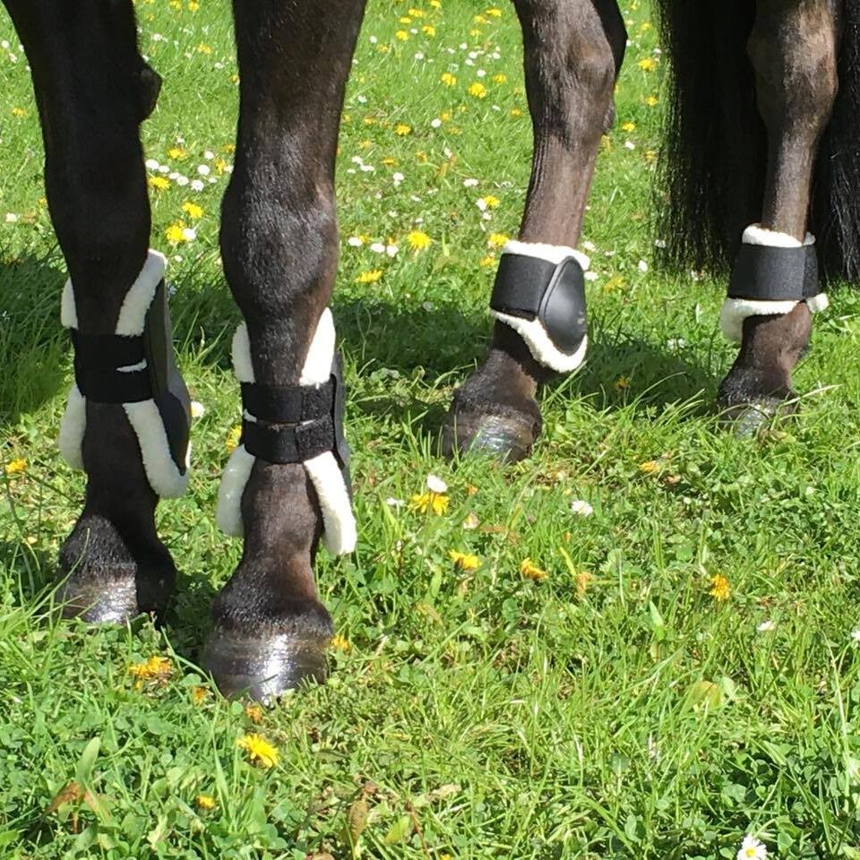 HB Shetland kaitsmete komplekt