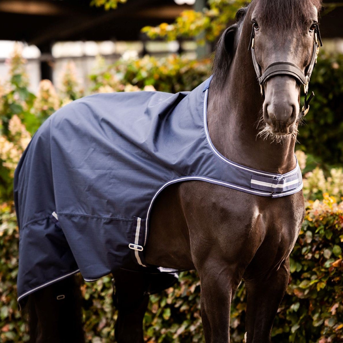 HB Showtime Walker jalutustekk