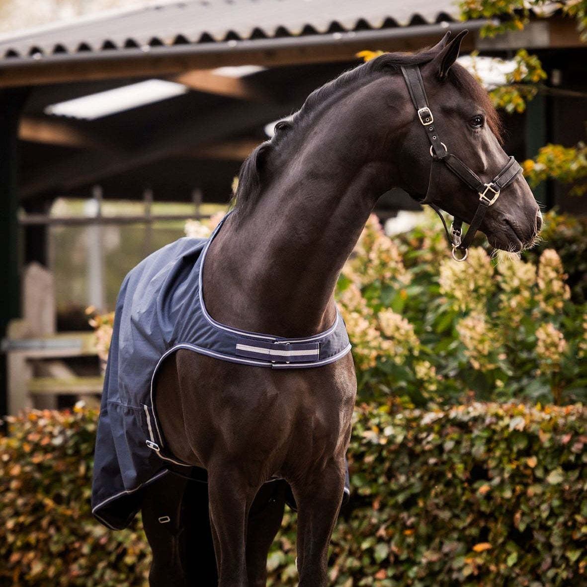 HB Showtime Walker jalutustekk