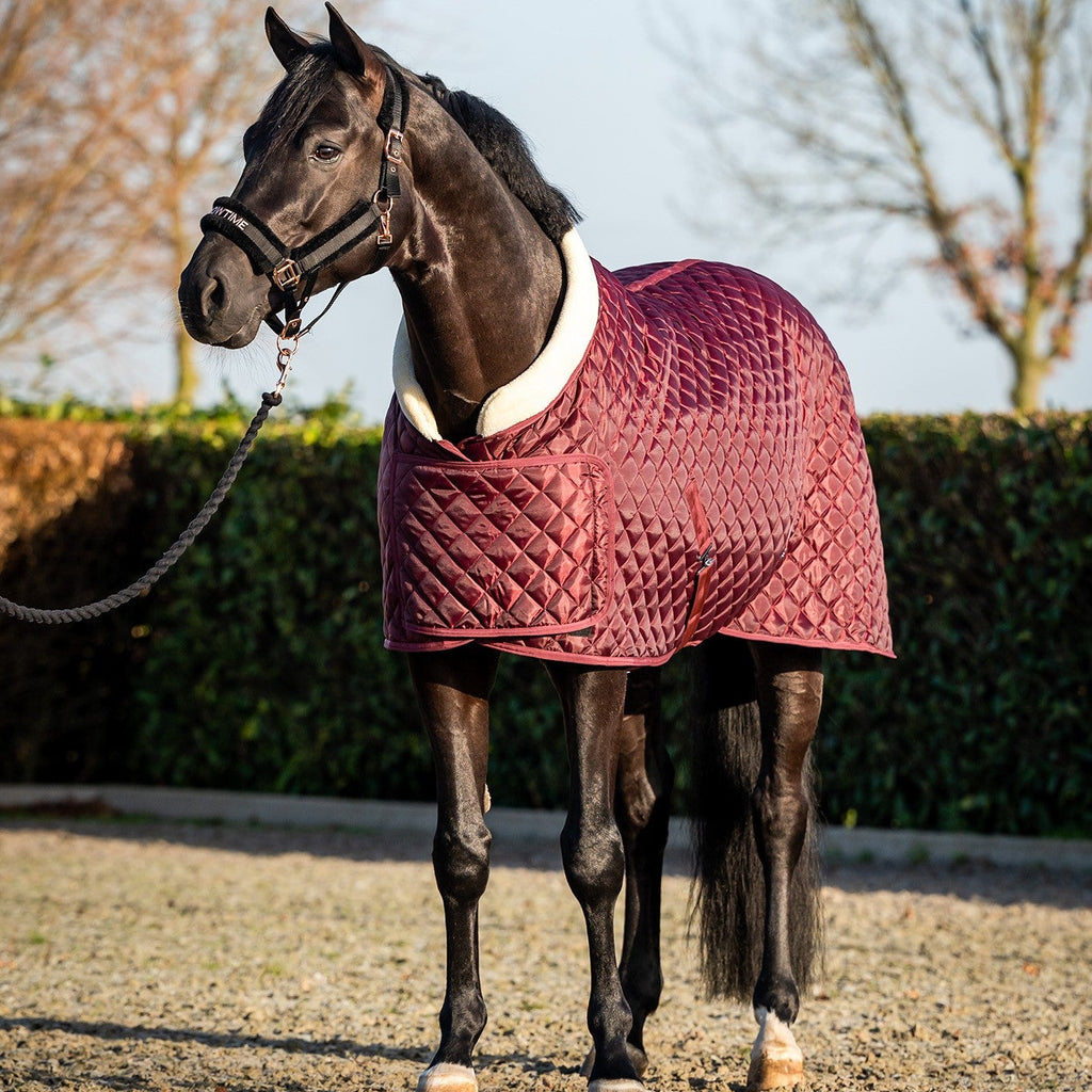 HB Showtime Desire SteelBlue show tekk