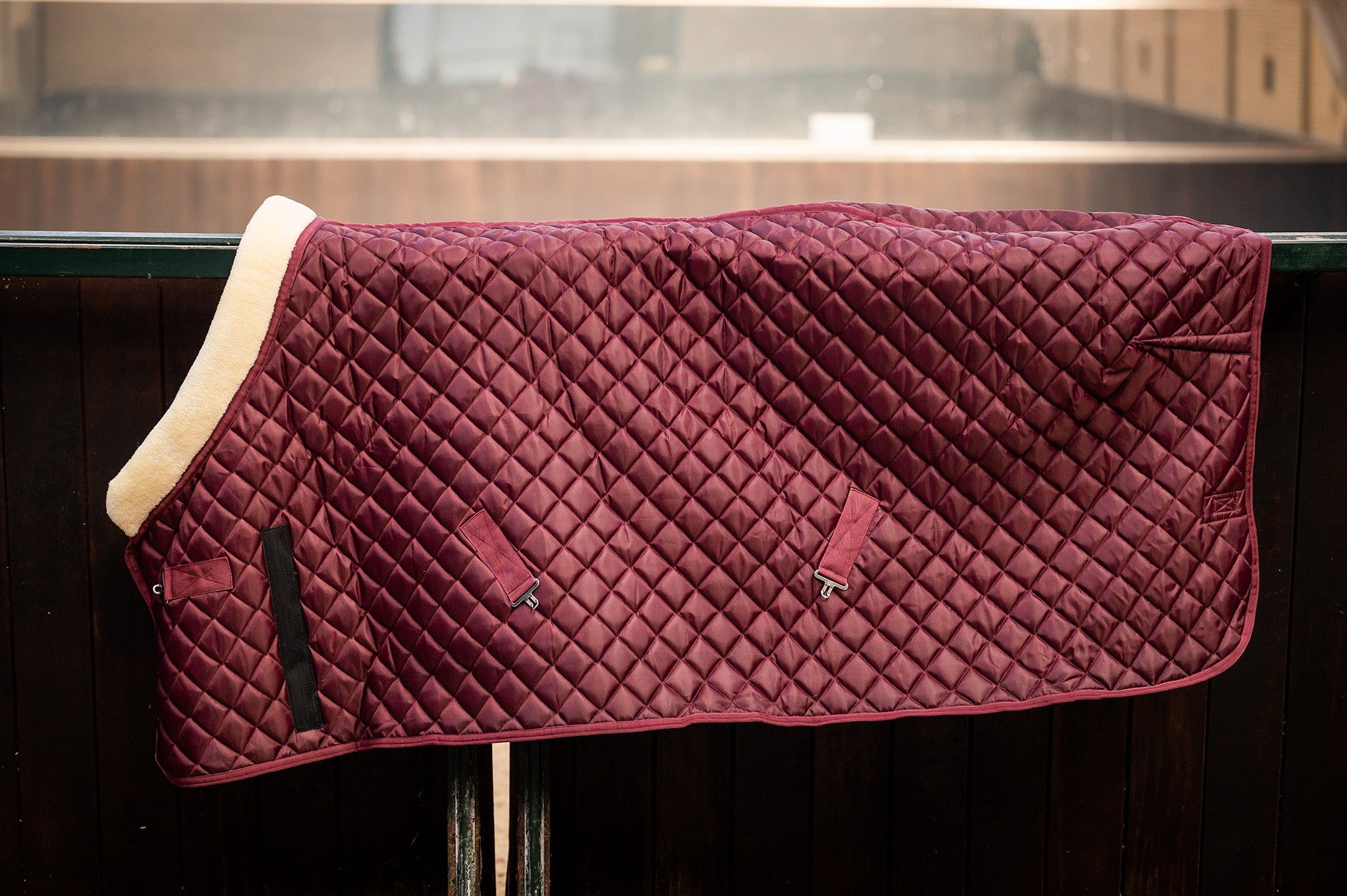 HB Showtime Desire SteelBlue show tekk