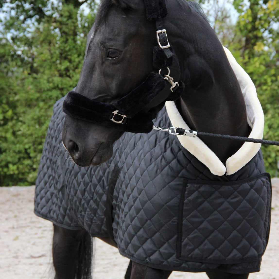 HB Showtime Desire SteelBlue show tekk