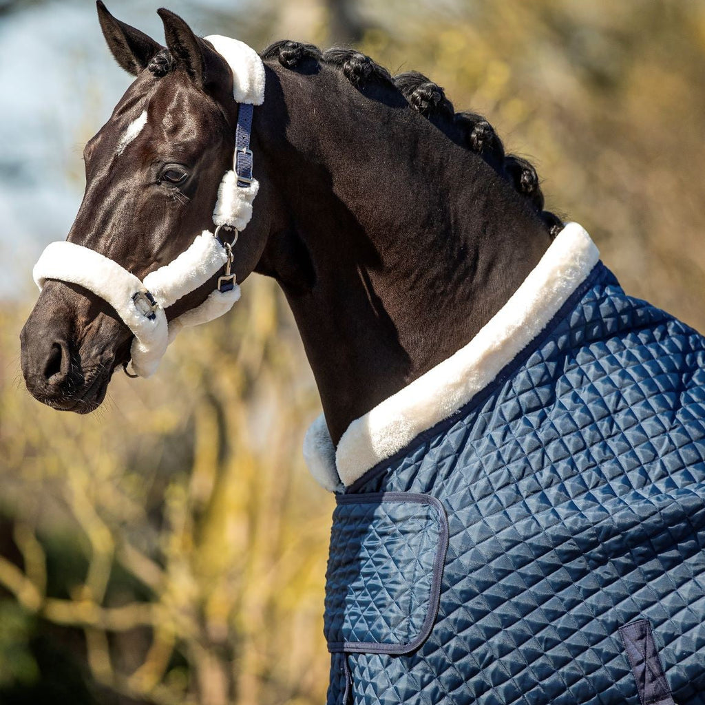 HB Showtime Desire SteelBlue show tekk