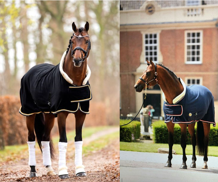 HB Showtime Dutch Crown polarfliis tekk 400 gr