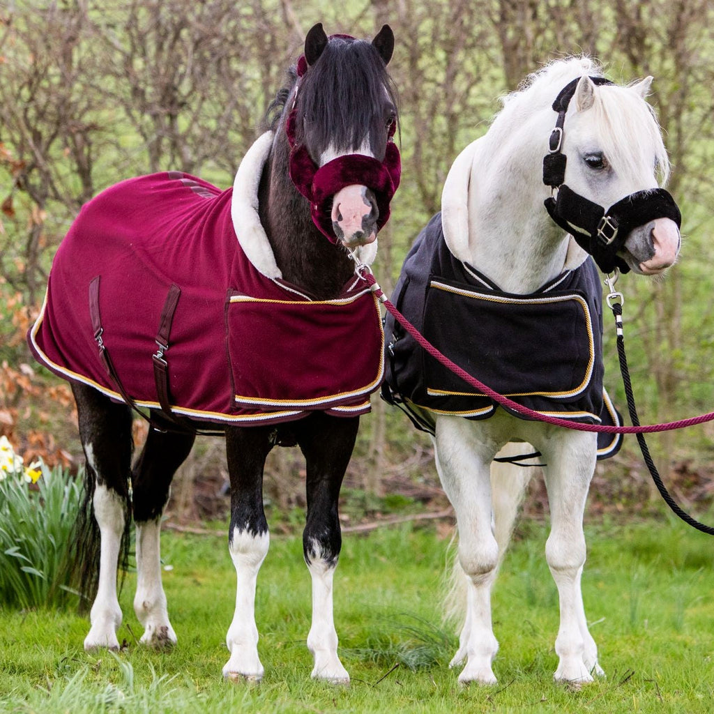 HB Harry and Hector Dutch Crown polarfliis tekk 400 gr