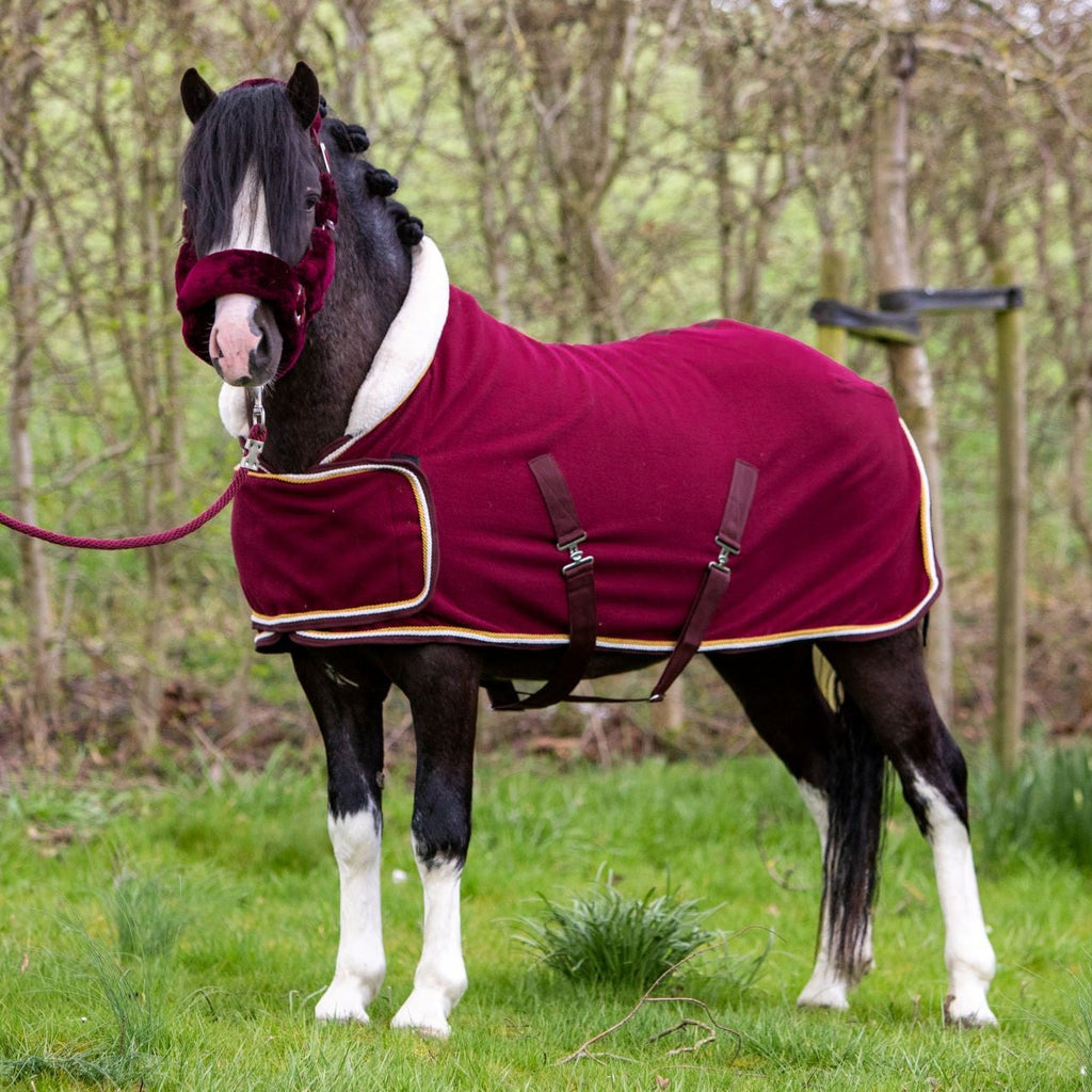 HB Harry and Hector Dutch Crown polarfliis tekk 400 gr