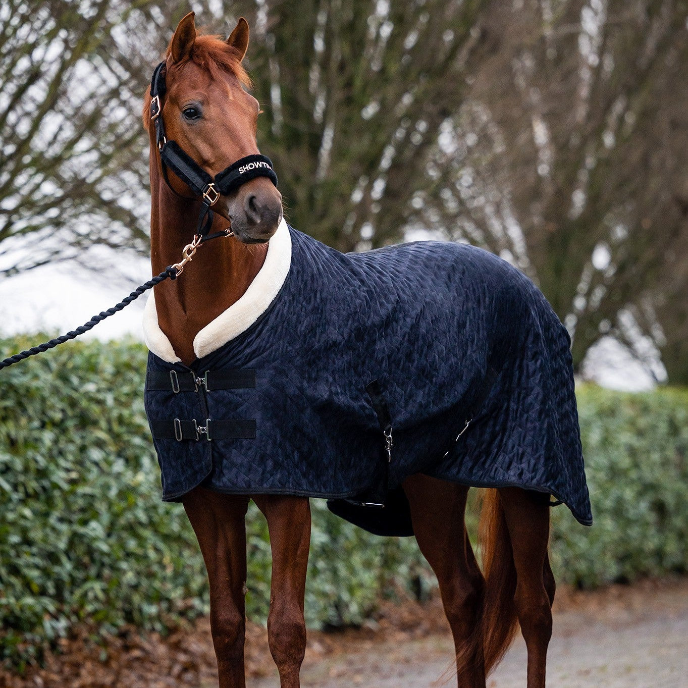 HB Showtime Spring fliistekk