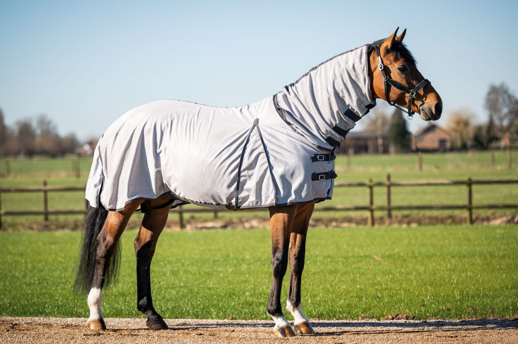 HB Fly putukatekk kaelaosaga