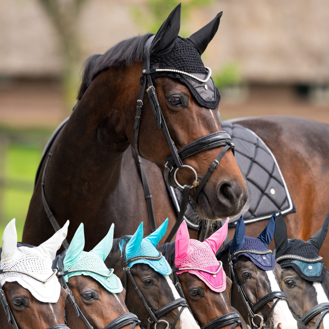 HB Showtime St Logo kõrvad