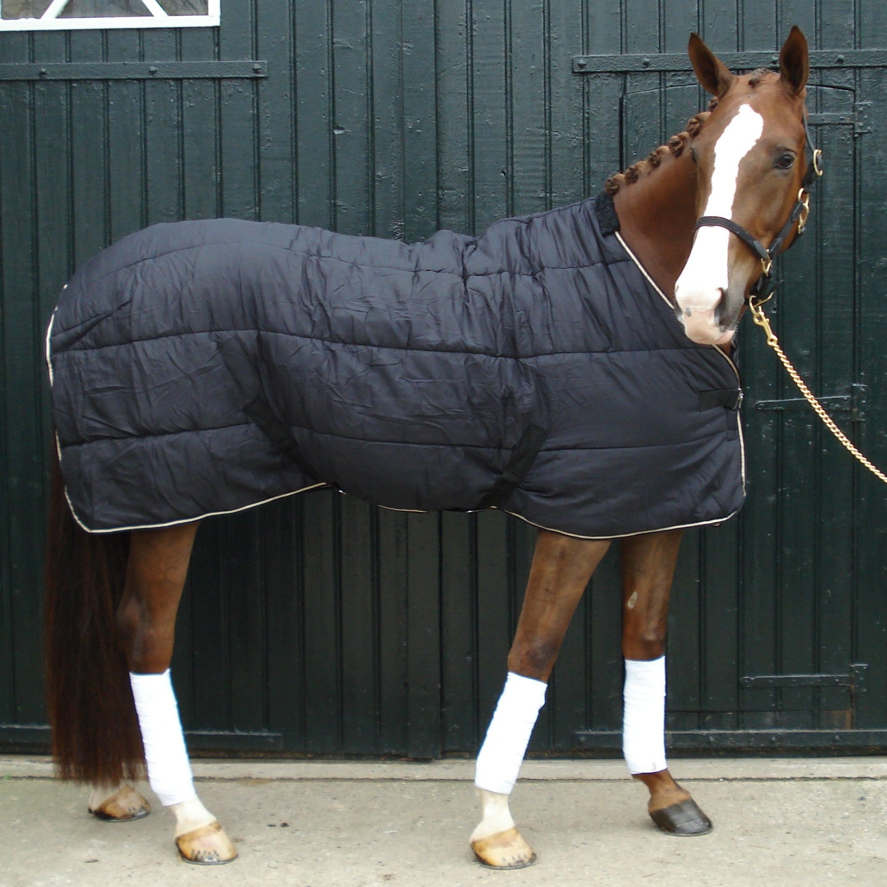 HB Showtime puuvillane alustekk