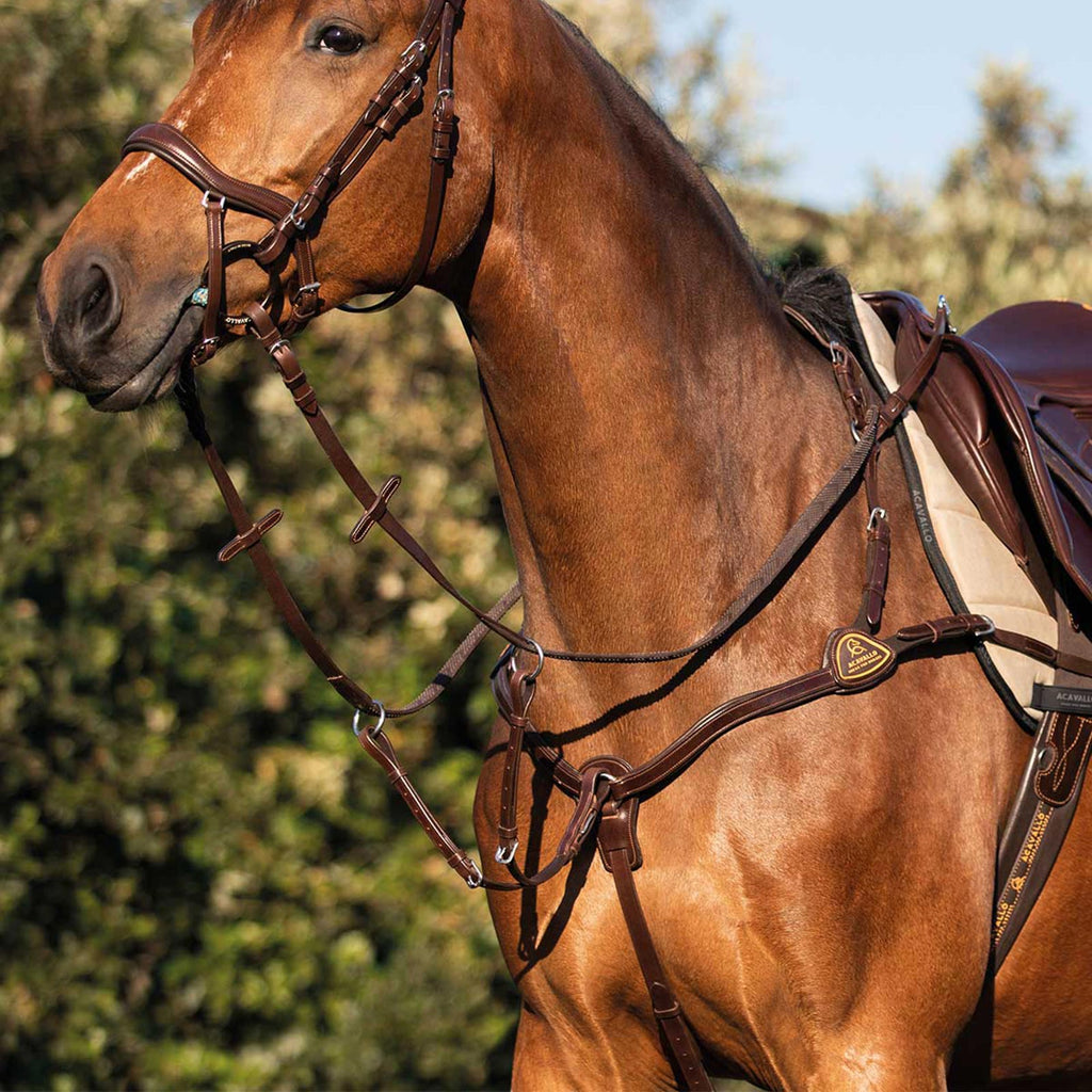 Acavallo 5-punkti kinnitusega rinnarihm-martingal