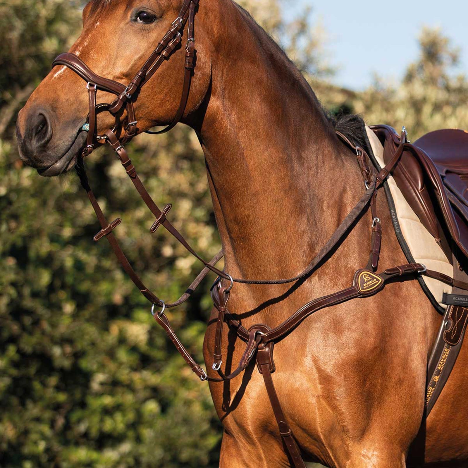 Acavallo 5-punkti kinnitusega rinnarihm-martingal