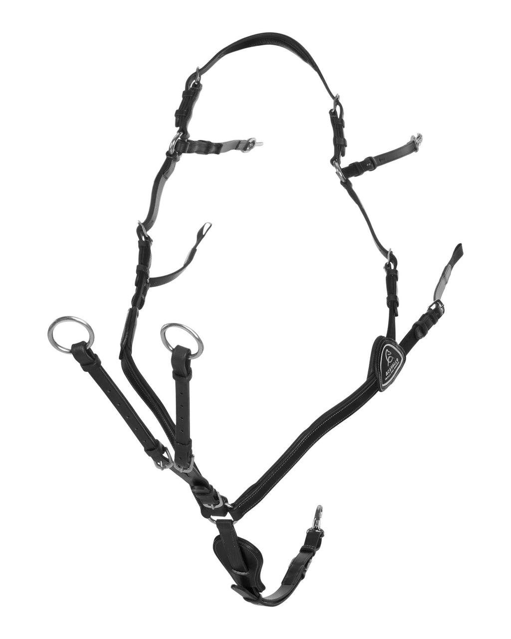 Acavallo 5-punkti kinnitusega rinnarihm-martingal