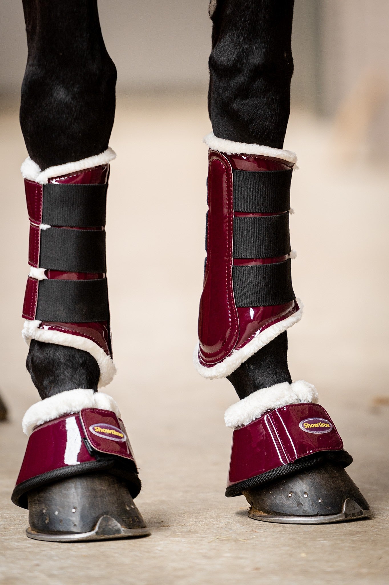 HB Showtime Crown Dressage kaitsmed