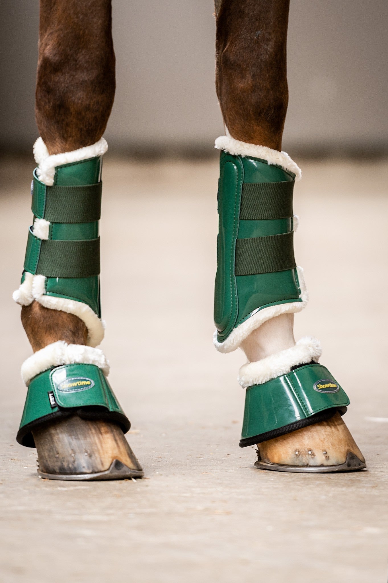 HB Showtime Crown Dressage kaitsmed