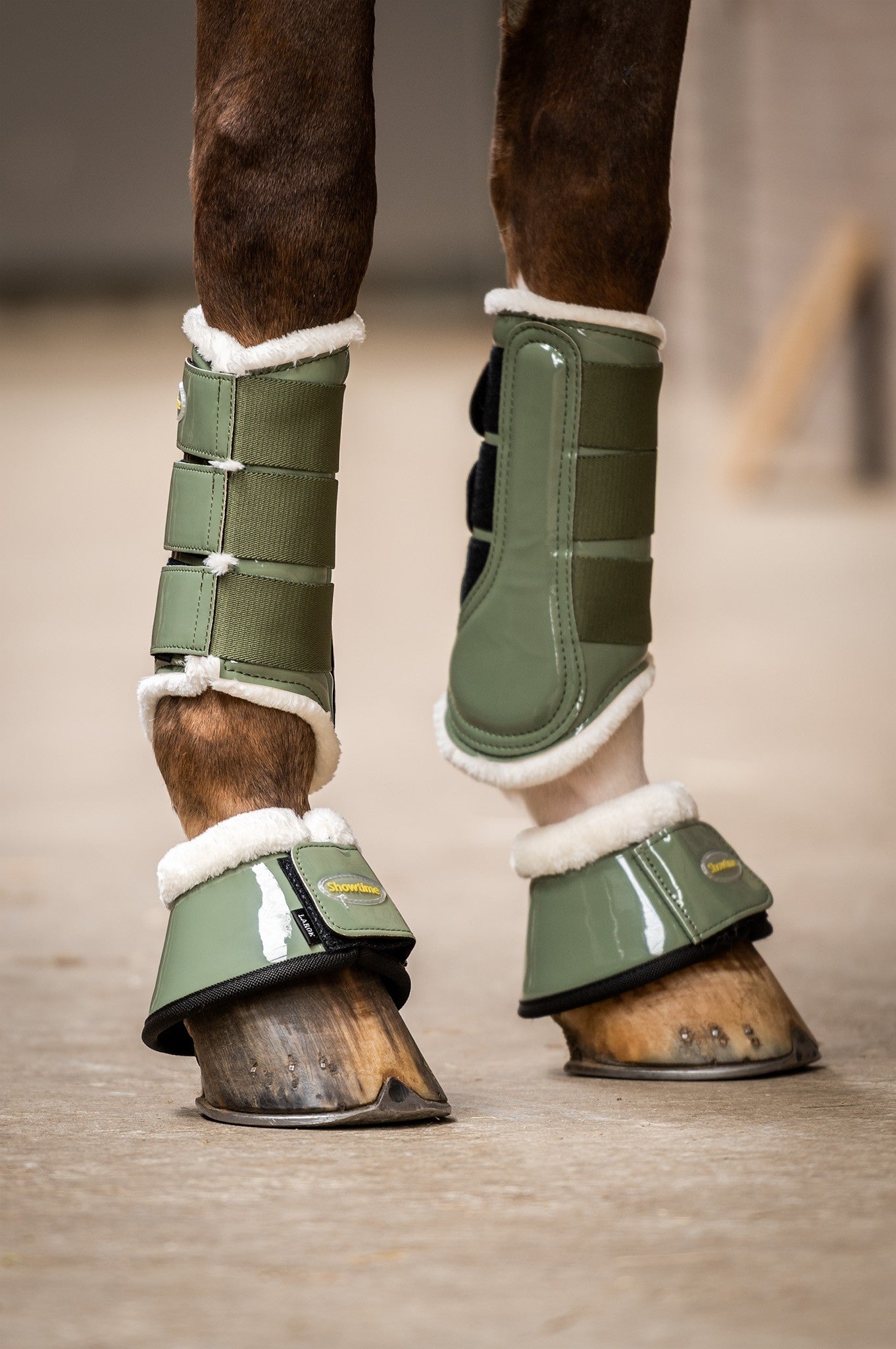 HB Showtime Crown Dressage kaitsmed