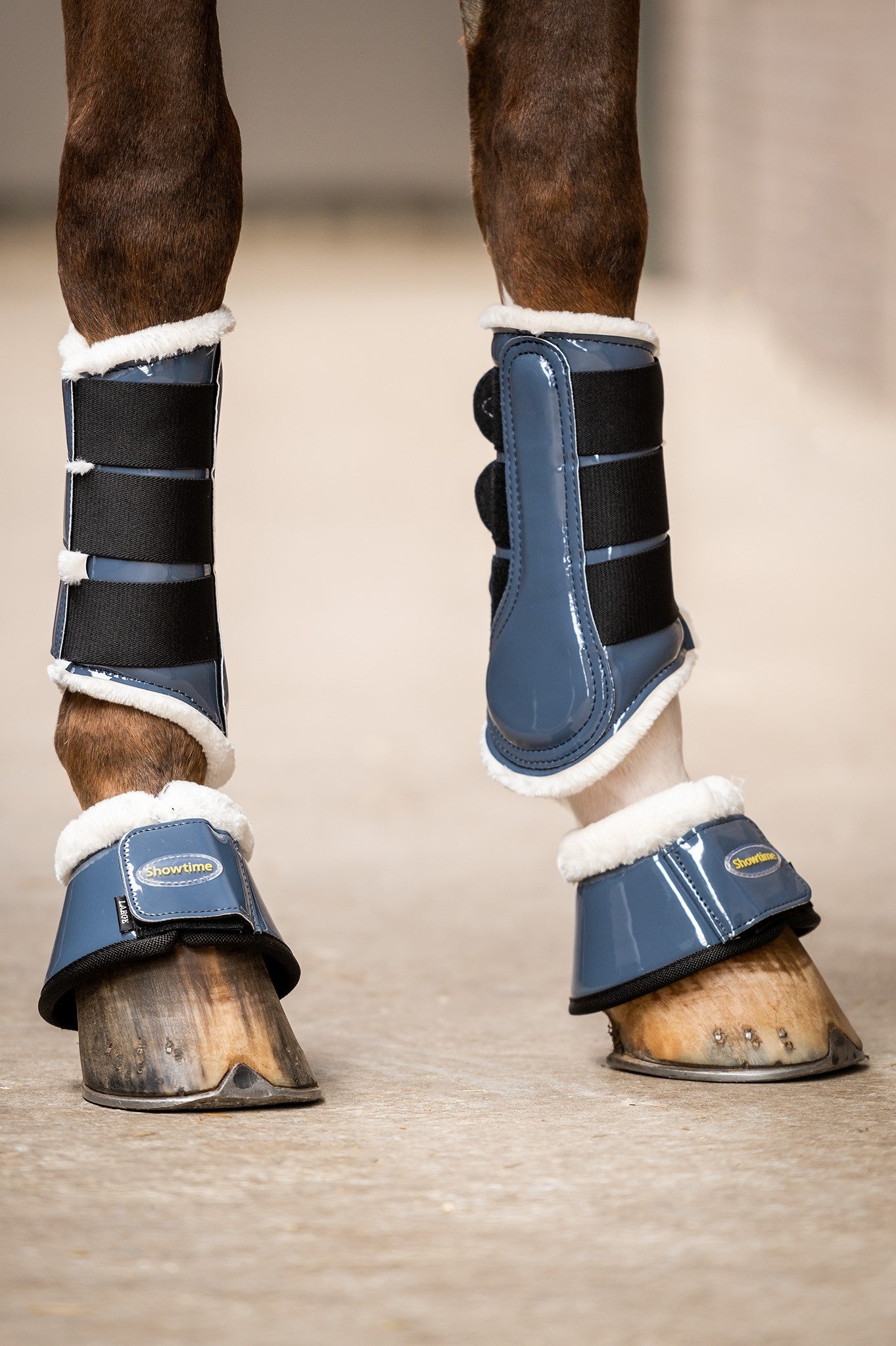 HB Showtime Crown Dressage kaitsmed