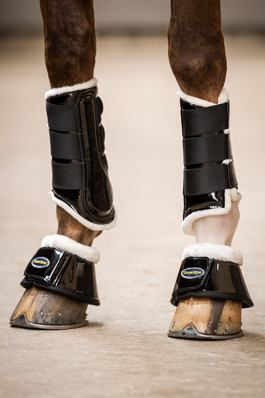 HB Showtime Crown Dressage kaitsmed