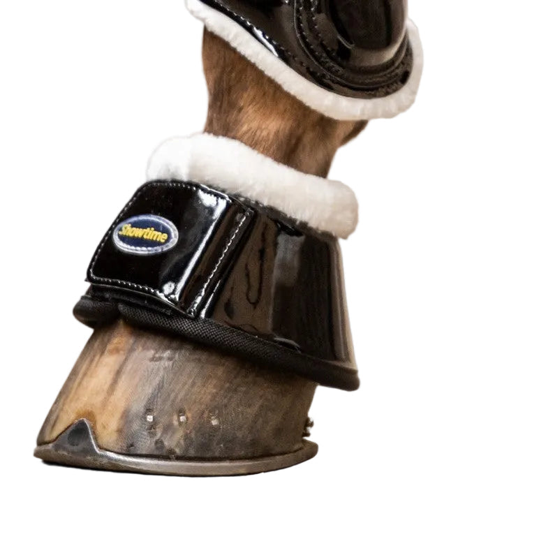 HB Showtime Crown kalossid