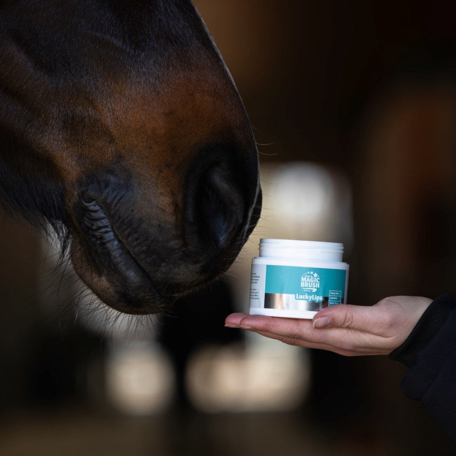 MagicBrush dopinguvaba palsam suunurkadele