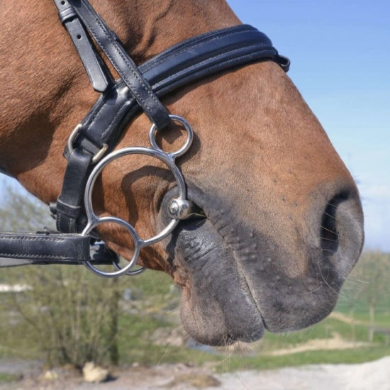 Sprenger Turnado GAG suuline