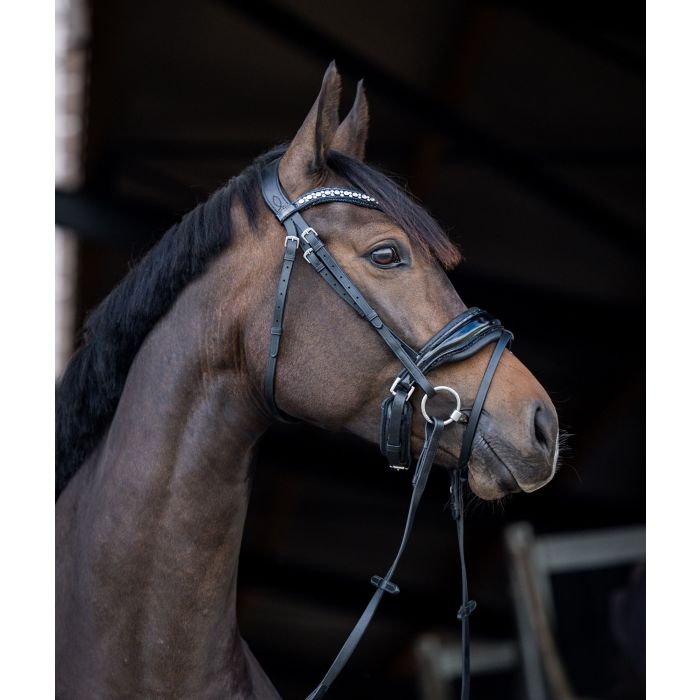 HB Showtime Stockholm valjad