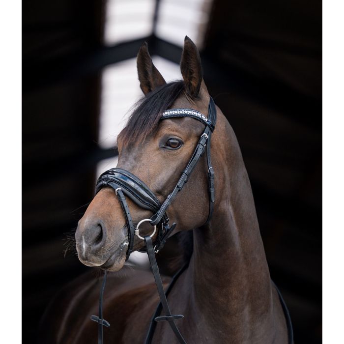 HB Showtime Stockholm valjad