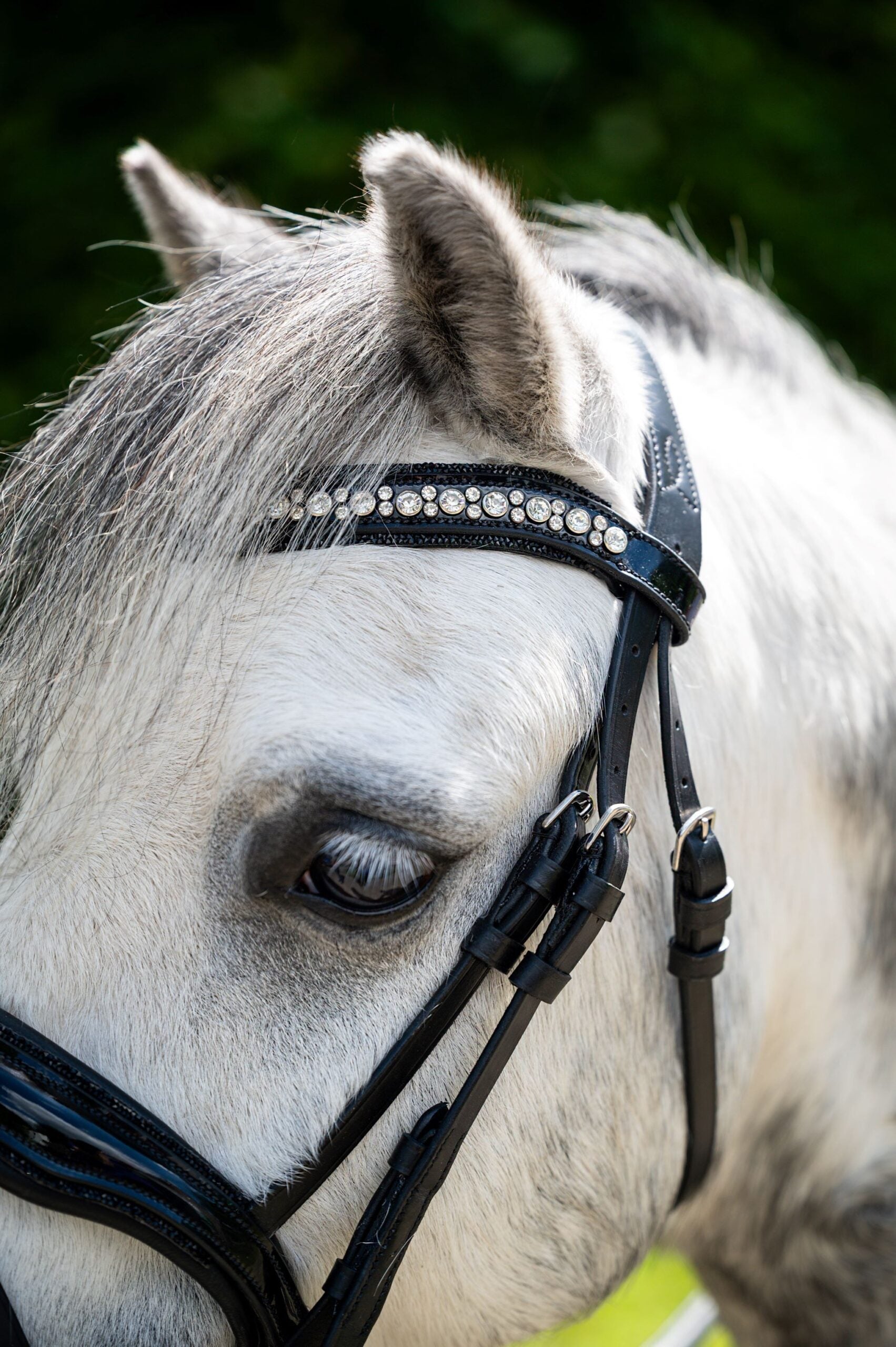 HB Showtime Stockholm Special A-pony valjad