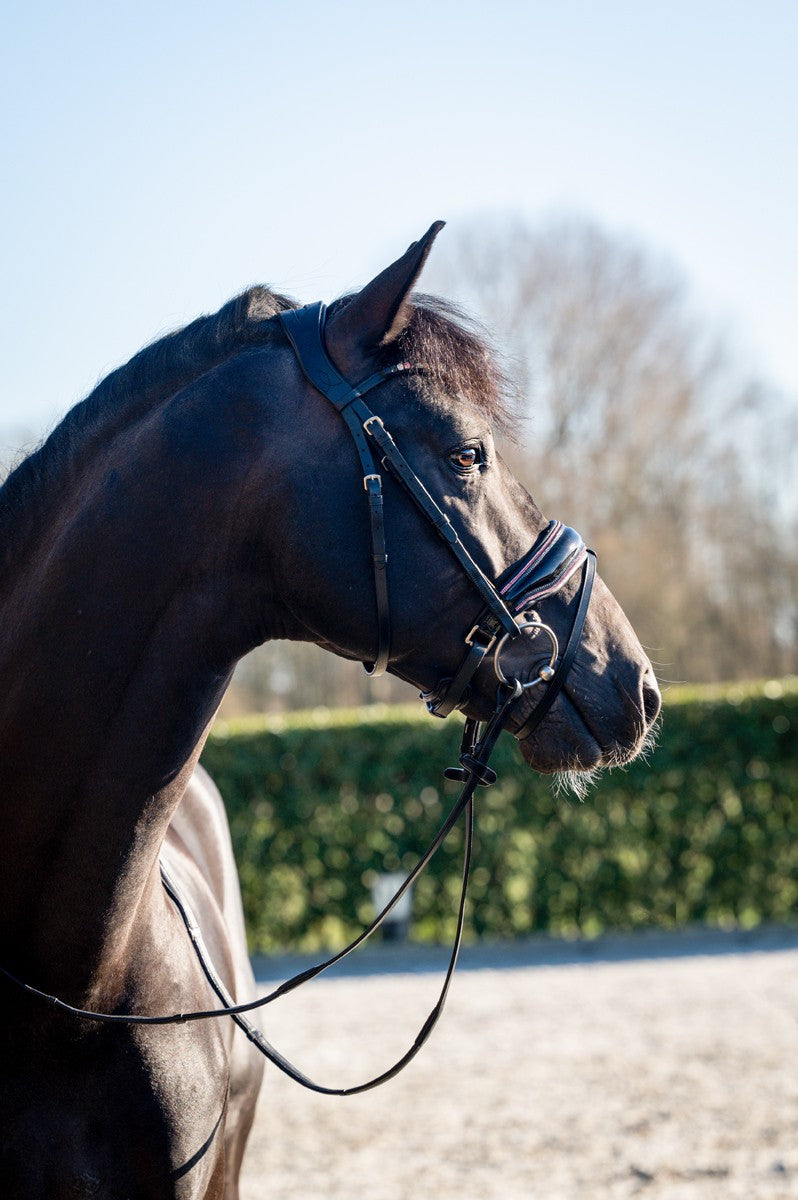 HB Showtime Evalira valjad - roosa glitter