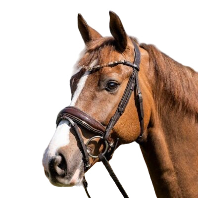 HB Showtime Juwel valjad