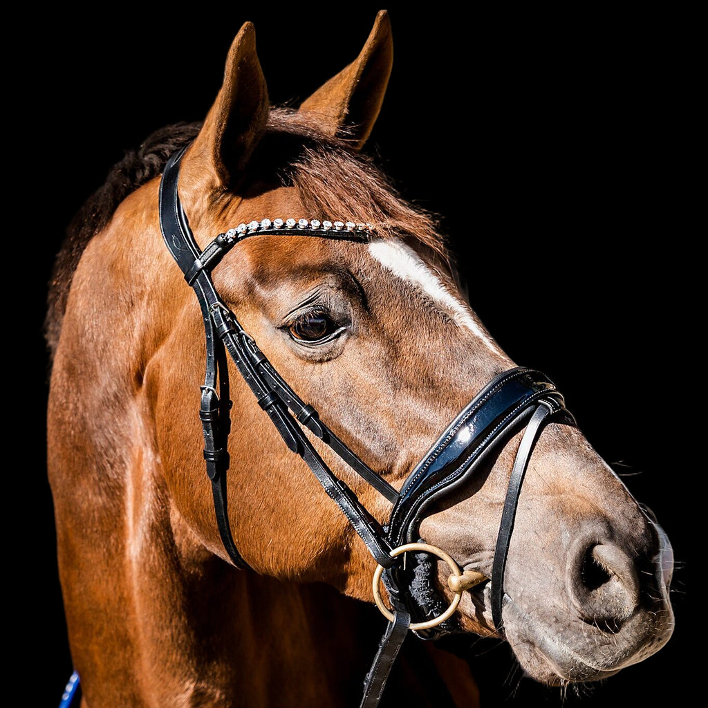 HB Showtime Special Guy valjad