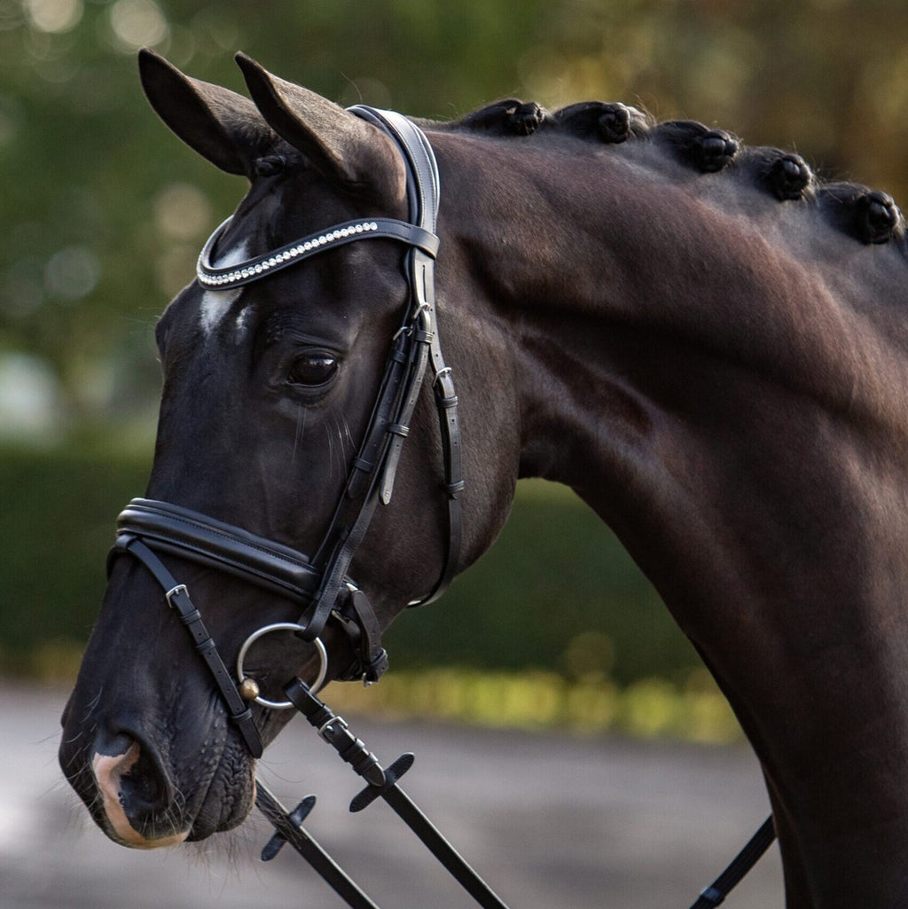 HB Showtime Stars valjad