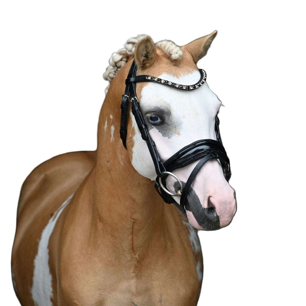 HB Showtime Special A-pony valjad