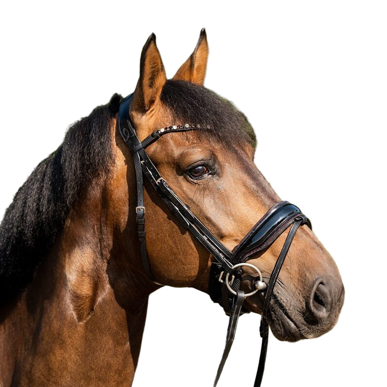 HB Showtime Sweet Dreams valjad