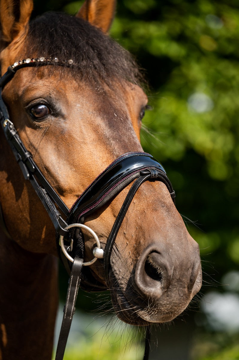 HB Showtime Sweet Dreams valjad