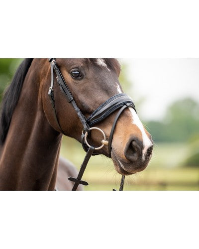 HB Showtime Las Vegas valjad