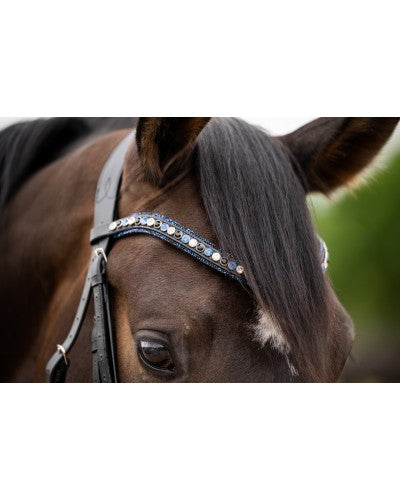 HB Showtime Las Vegas valjad