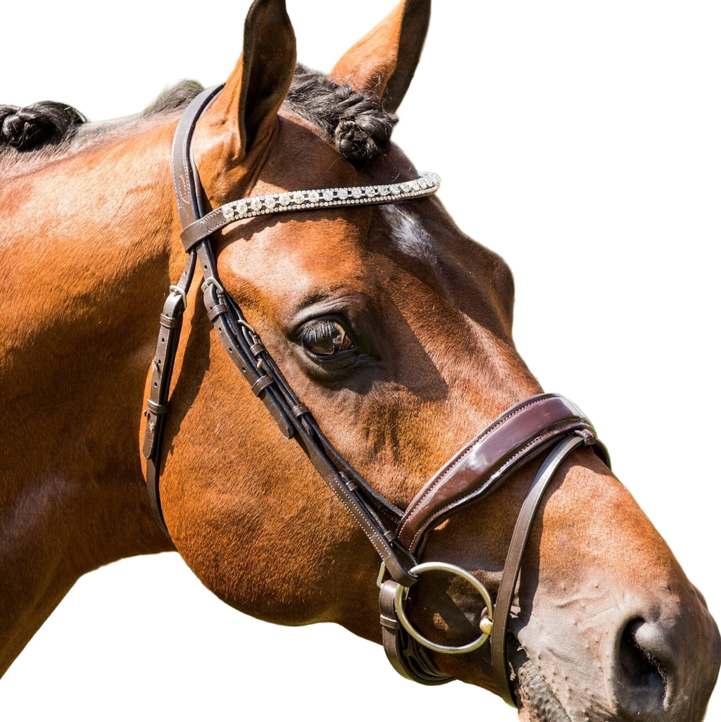 HB Showtime Chicago valjad