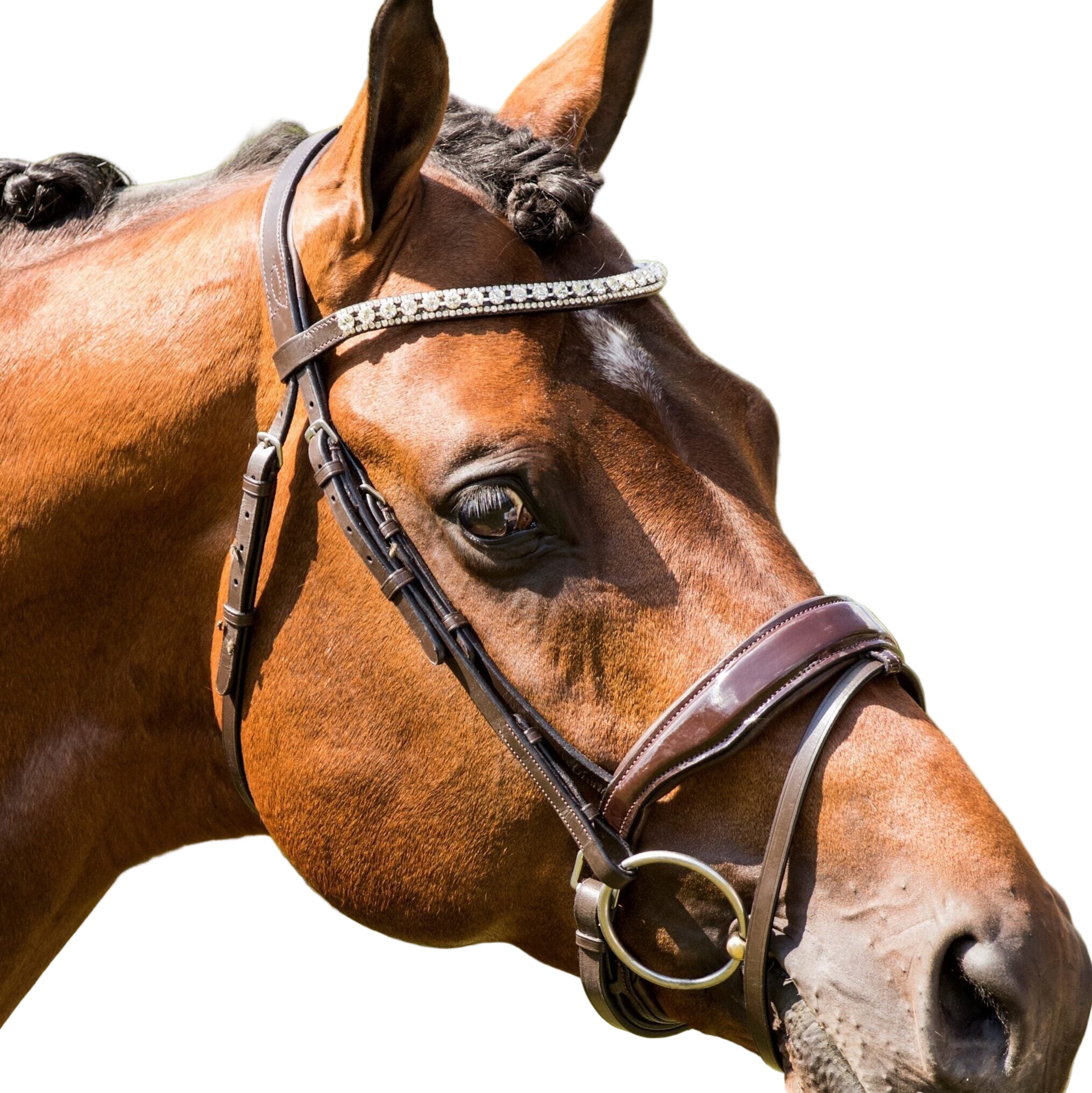 HB Showtime Chicago valjad