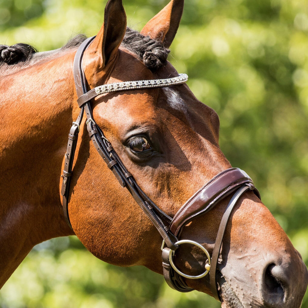 HB Showtime Chicago valjad