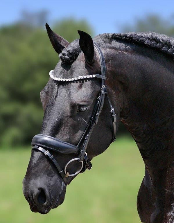 HB Showtime Luxery valjad