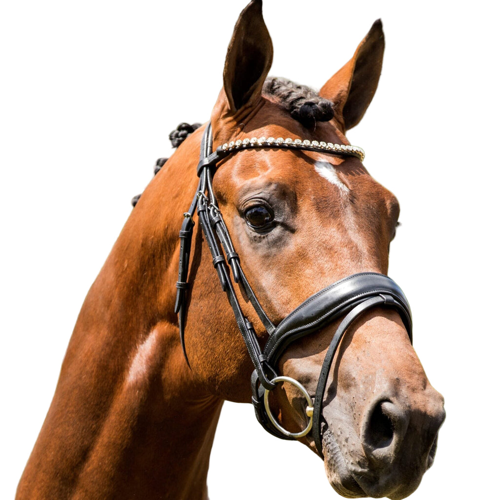 HB Showtime Luxery valjad