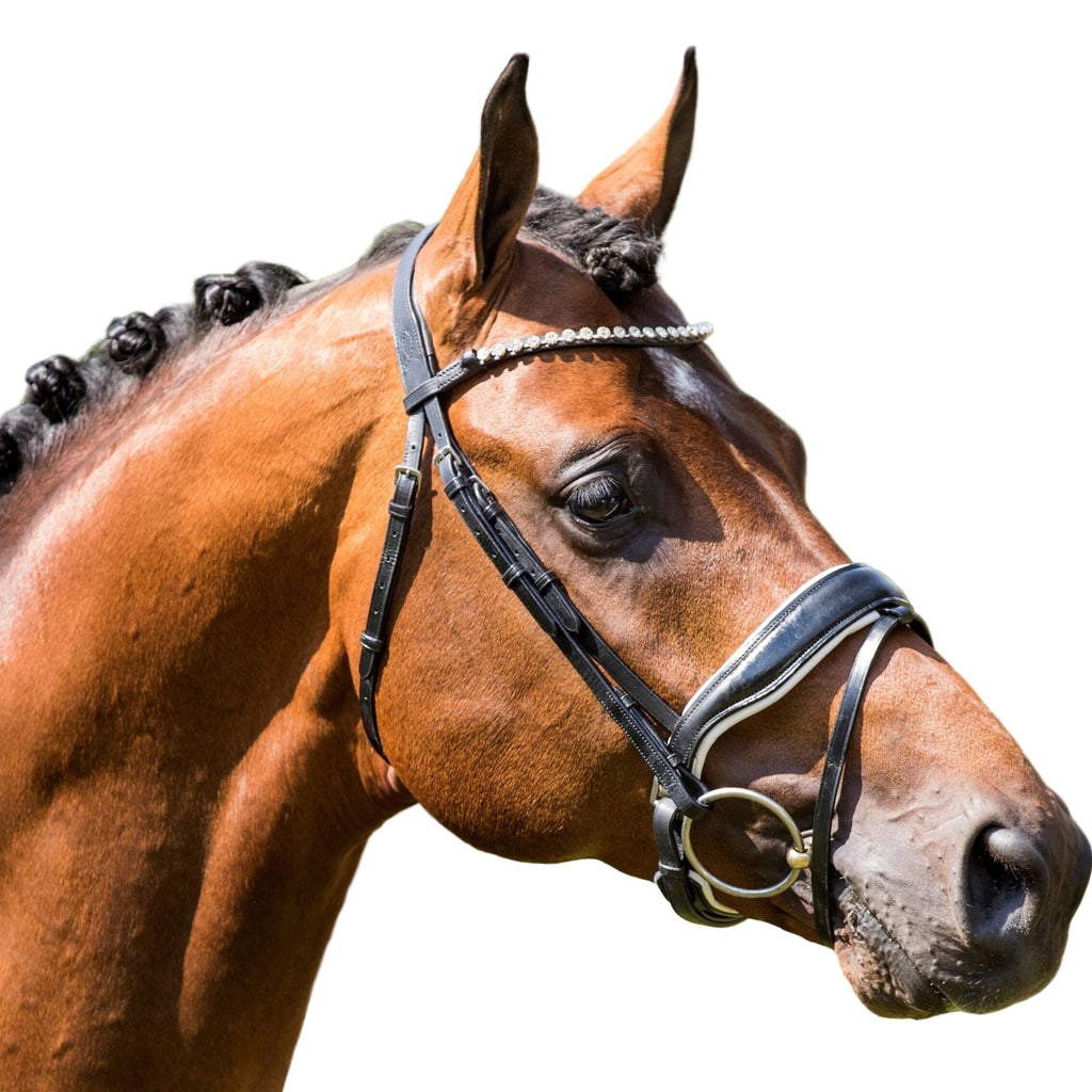 HB Showtime Grandprix valjad