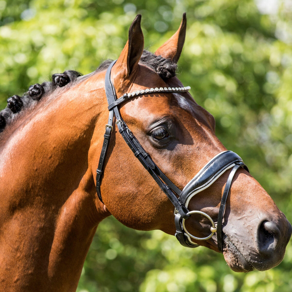 HB Showtime Grandprix valjad