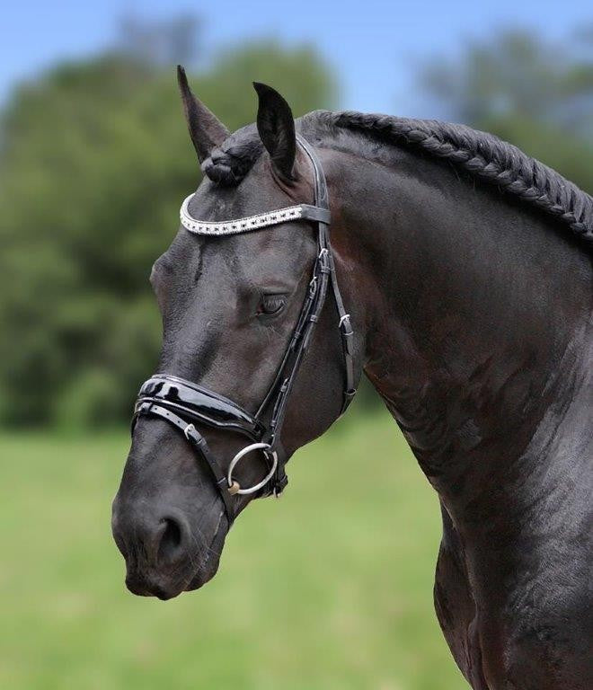 HB Showtime Jan van Westerhuis valjad